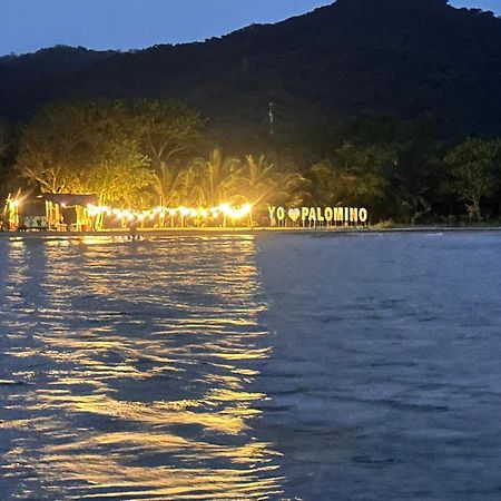 Donama River Palomino Kültér fotó